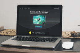 Micro-site Design of Website for Air New Zealand