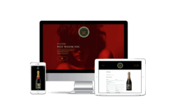 MDC ecommerce website designs